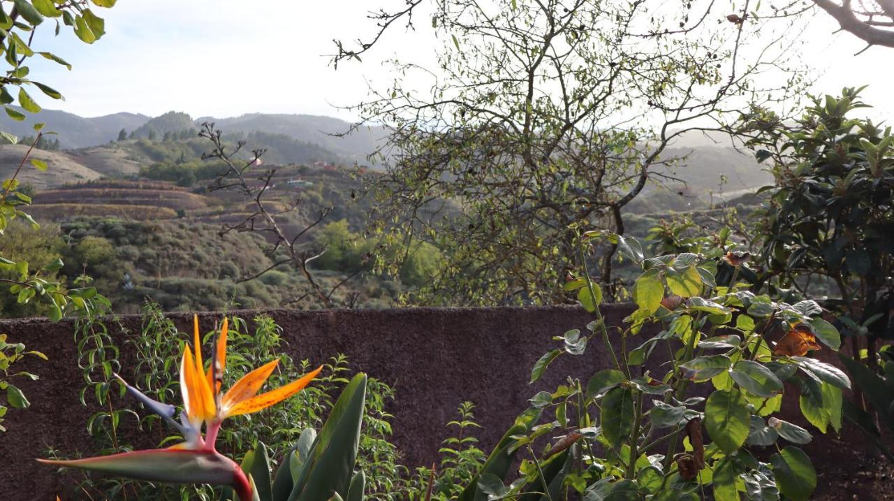 Casa Rural En San Mateo Las Palmas de Gran Canaria Bagian luar foto