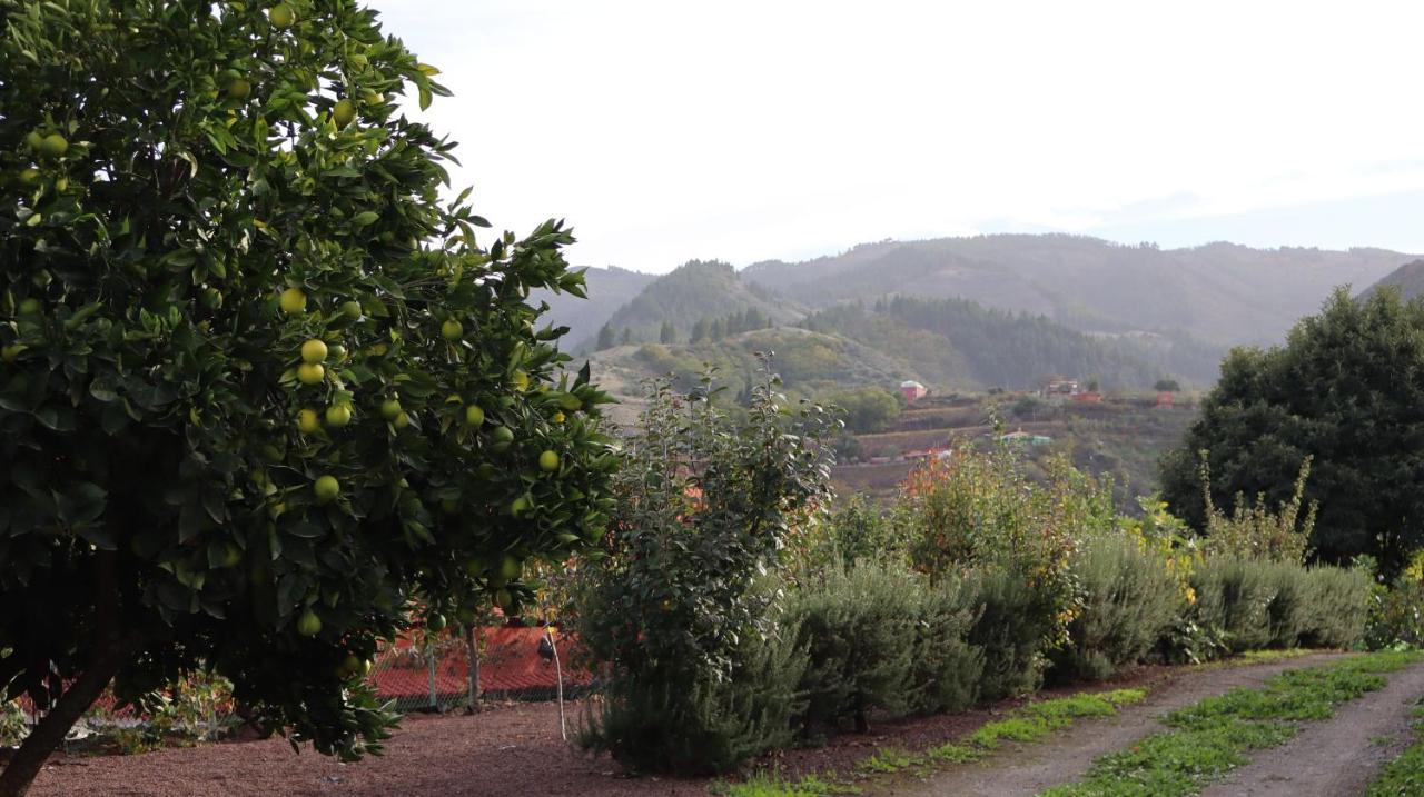 Casa Rural En San Mateo Las Palmas de Gran Canaria Bagian luar foto